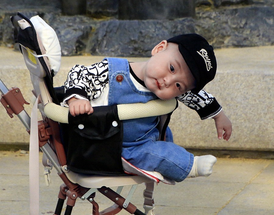 《不老松：纪实摄影》名人植物园：（4）八个月的小宝宝也来游园赏花！02