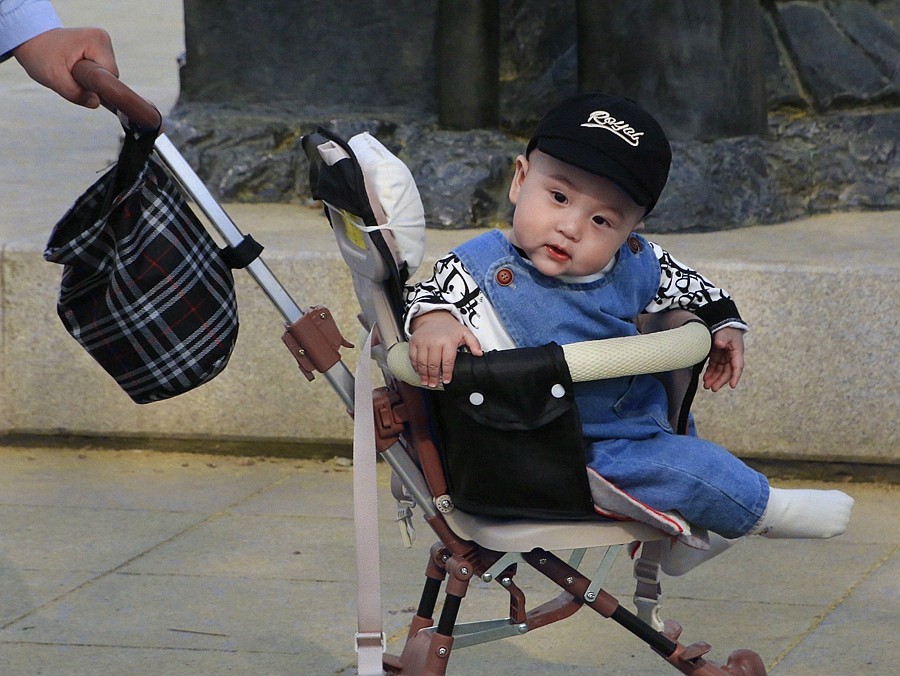 《不老松：纪实摄影》名人植物园：（4）八个月的小宝宝也来游园赏花！02