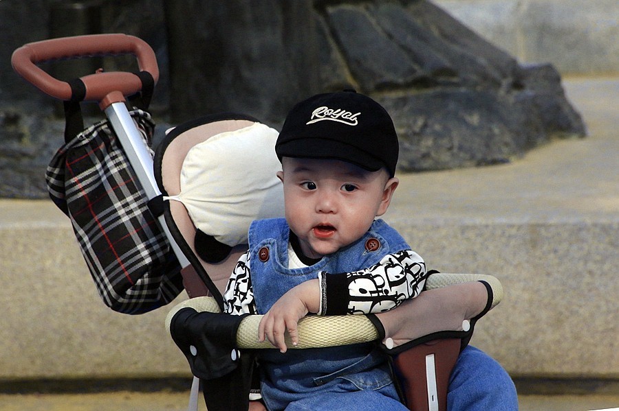 《不老松：纪实摄影》名人植物园：（4）八个月的小宝宝也来游园赏花！02