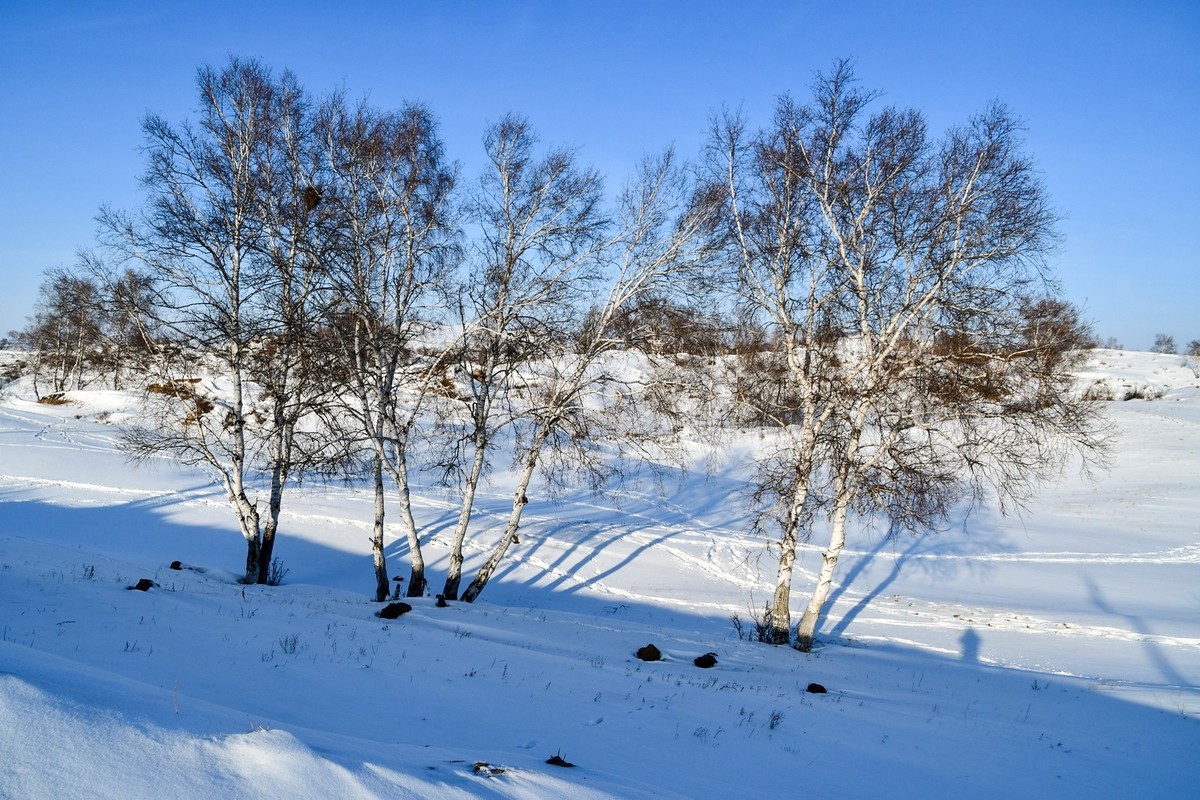 我只是把出去看到的随手记录下来（137）