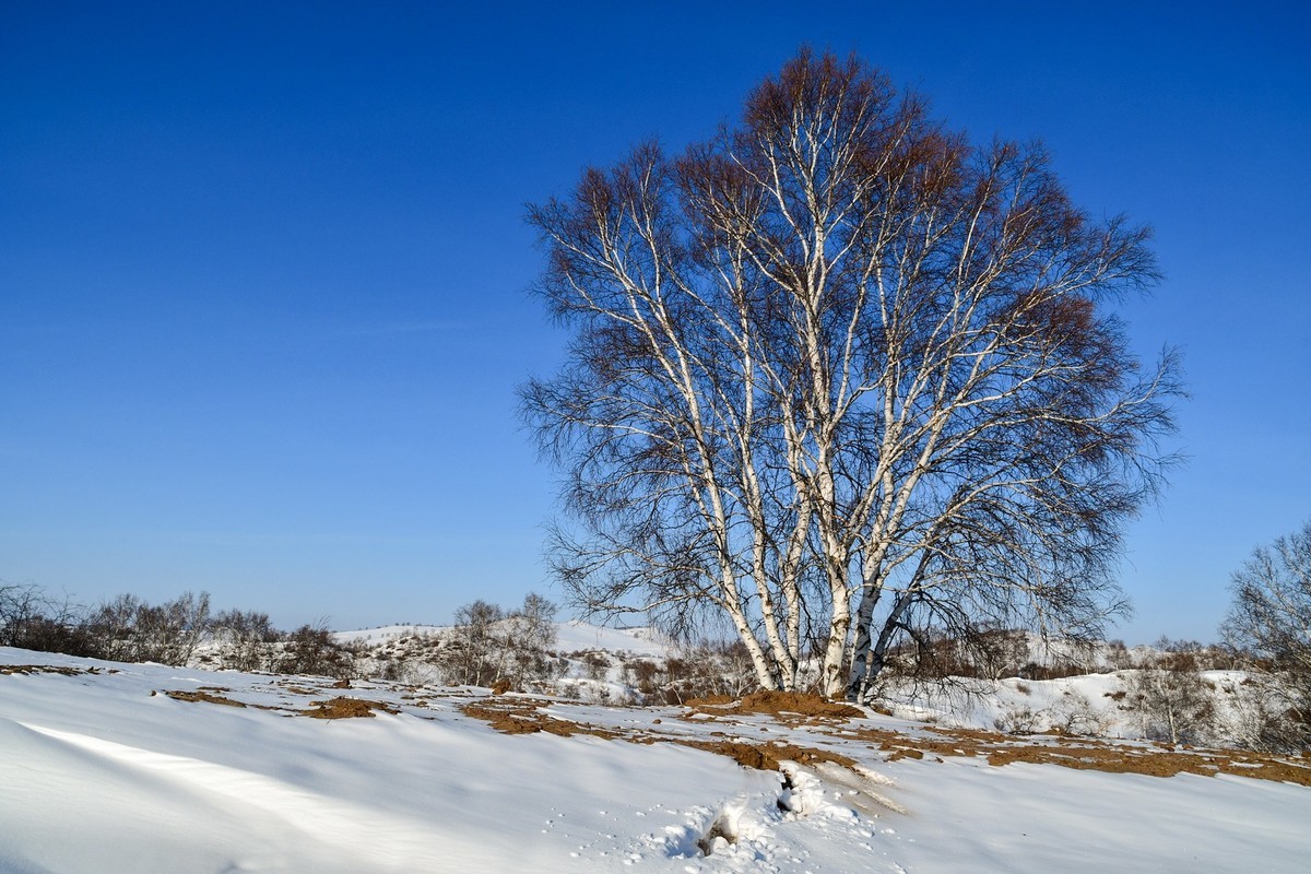 我只是把出去看到的随手记录下来（137）