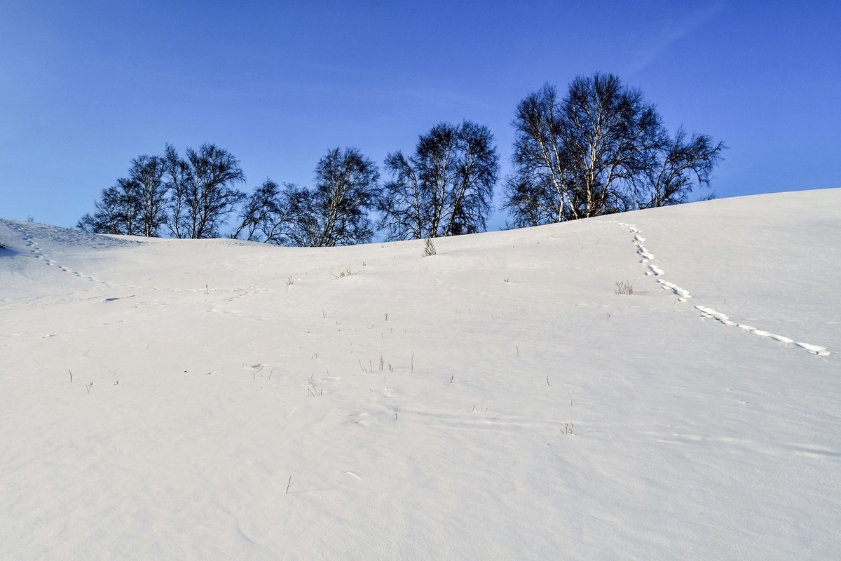 我只是把出去看到的随手记录下来（137）
