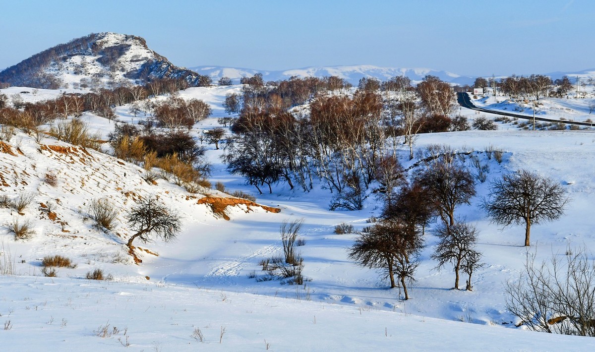 我只是把出去看到的随手记录下来（137）