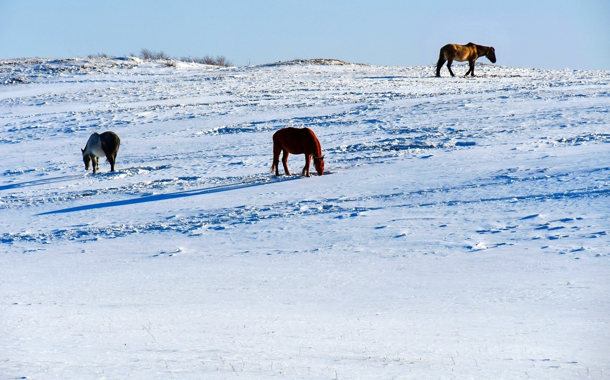 春节乌兰布统塞罕坝之行 及路上所见（十八）