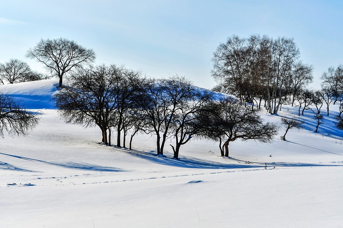 春节乌兰布统塞罕坝之行 及路上所见（十八）