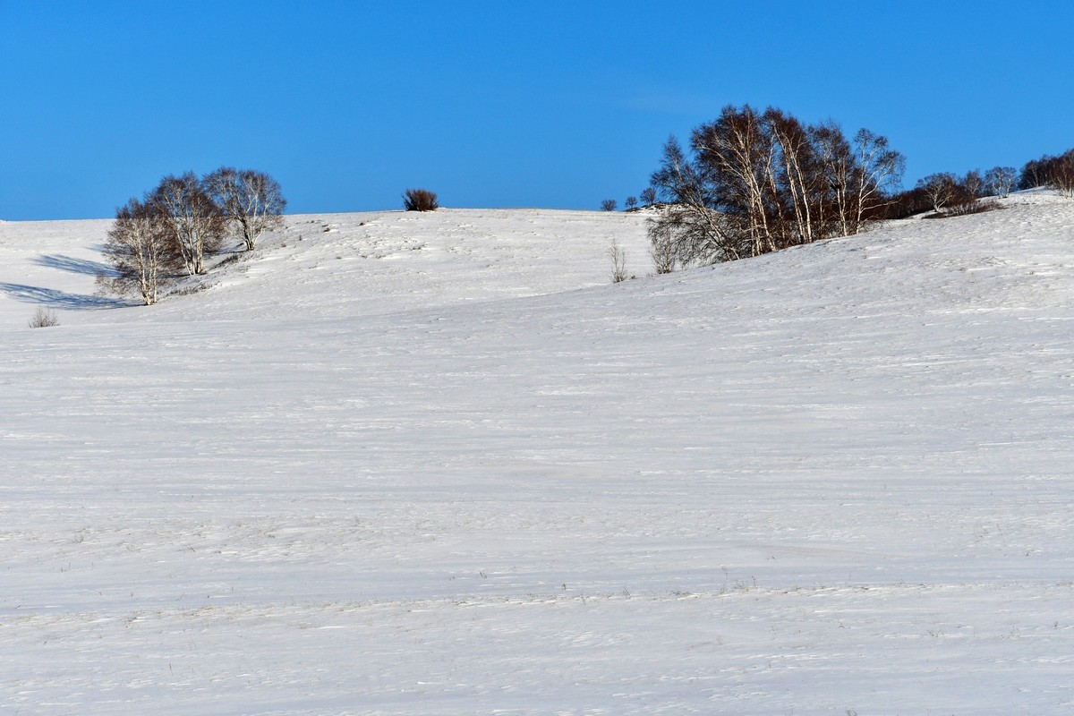 春节乌兰布统塞罕坝之行 及路上所见（十八）