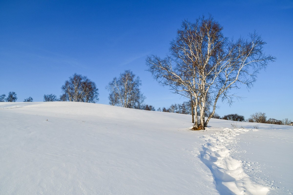 春节乌兰布统塞罕坝之行 及路上所见（十八）
