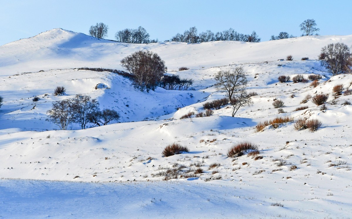 春节乌兰布统塞罕坝之行 及路上所见（十八）