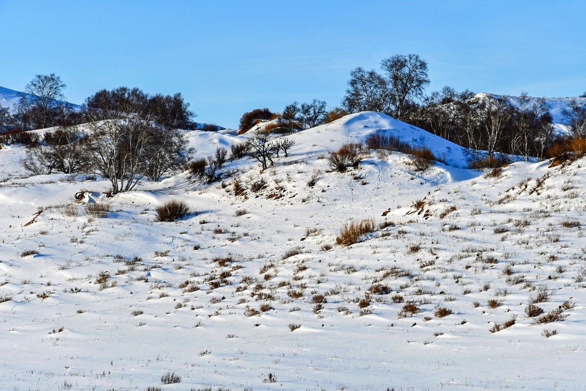 春节乌兰布统塞罕坝之行 及路上所见（十八）