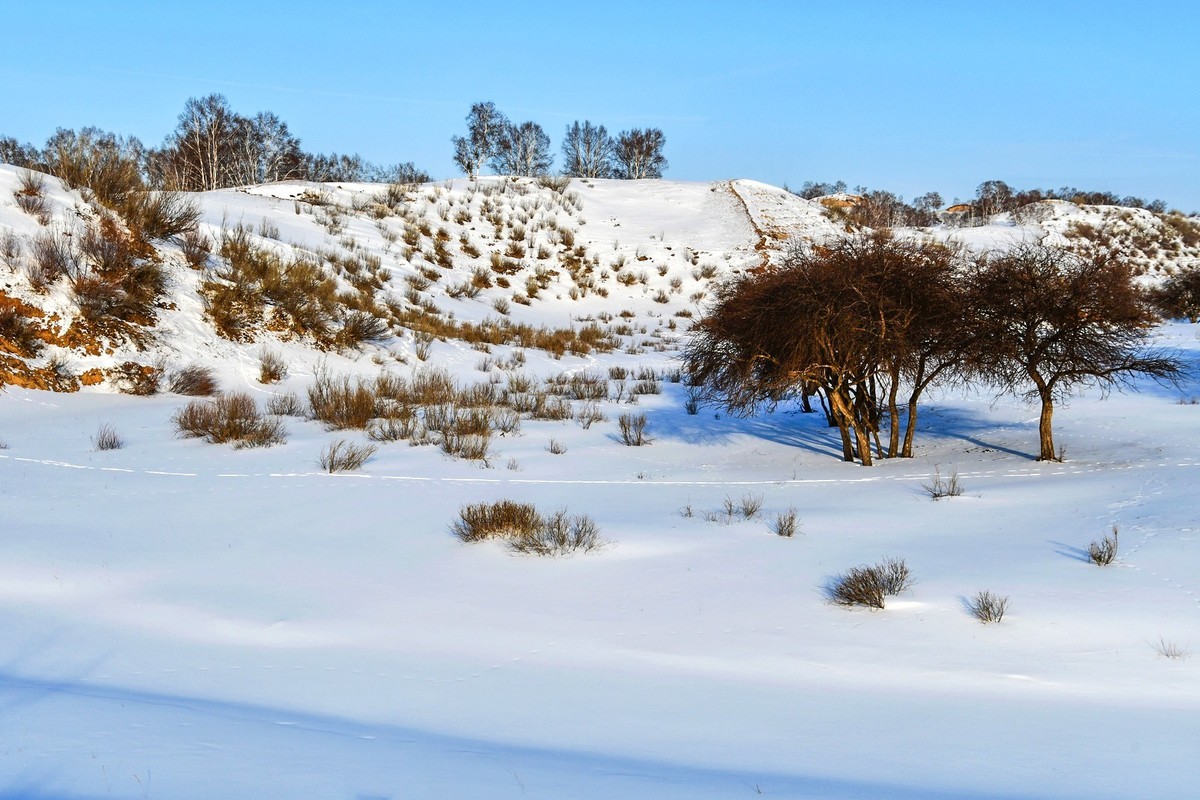 春节乌兰布统塞罕坝之行 及路上所见（十八）