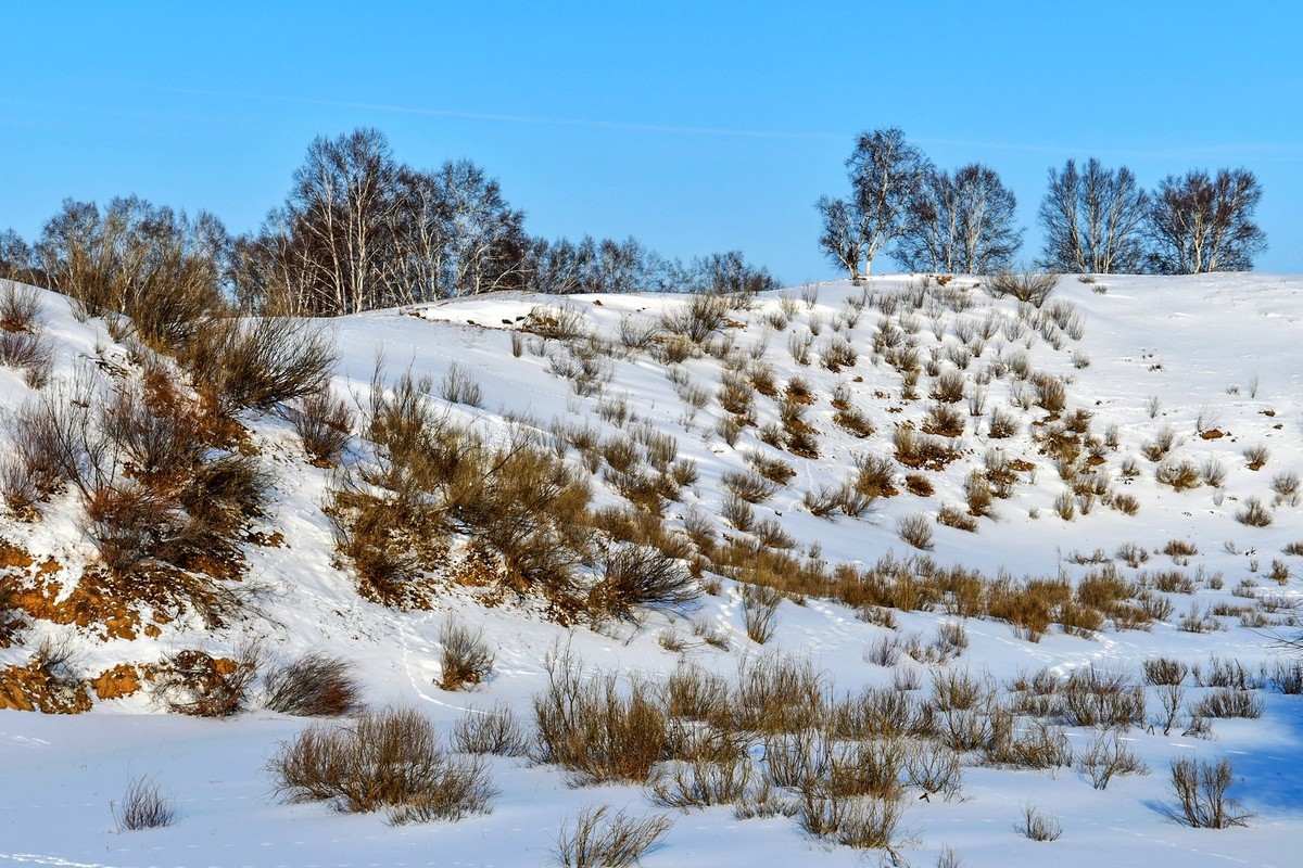 春节乌兰布统塞罕坝之行 及路上所见（十八）