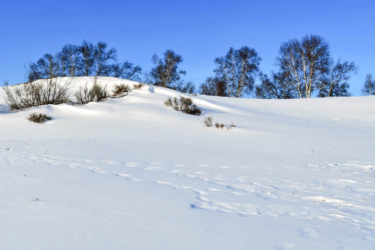 春节乌兰布统塞罕坝之行 及路上所见（十八）