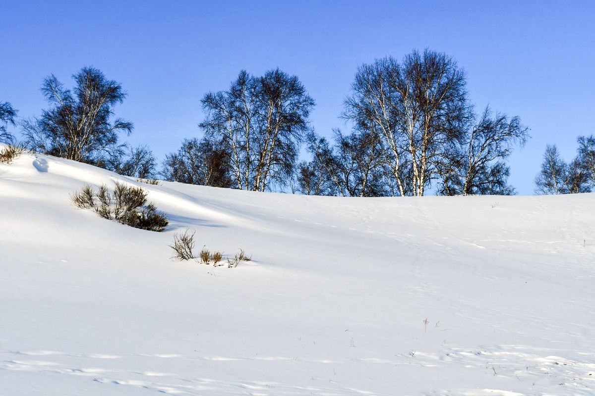 春节乌兰布统塞罕坝之行 及路上所见（十八）