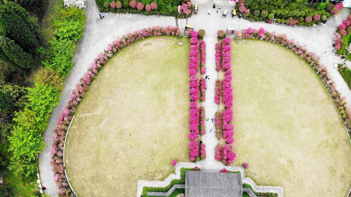 空中俯瞰”花舞人间“