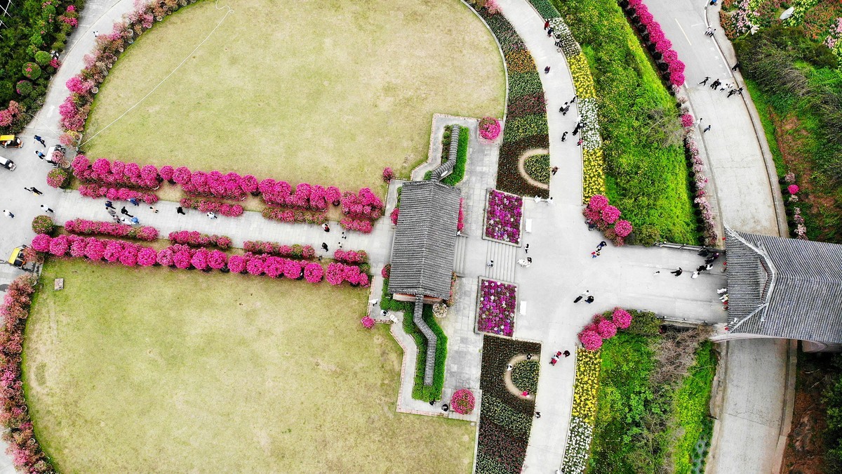 空中俯瞰”花舞人间“