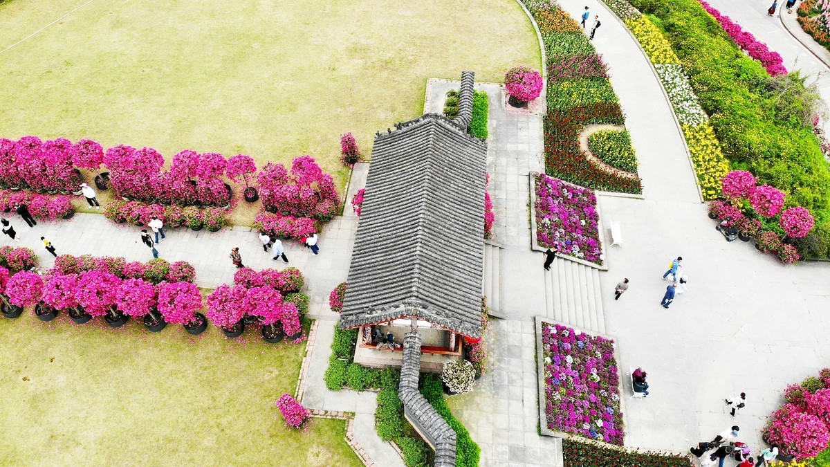 空中俯瞰”花舞人间“