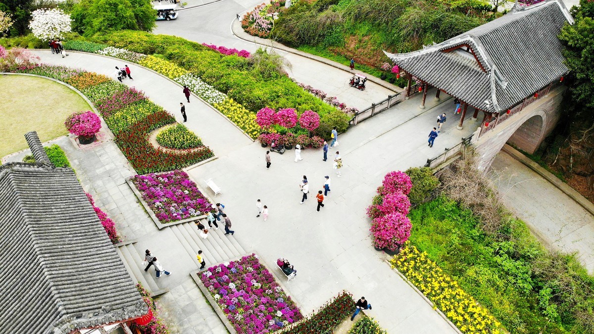 空中俯瞰”花舞人间“