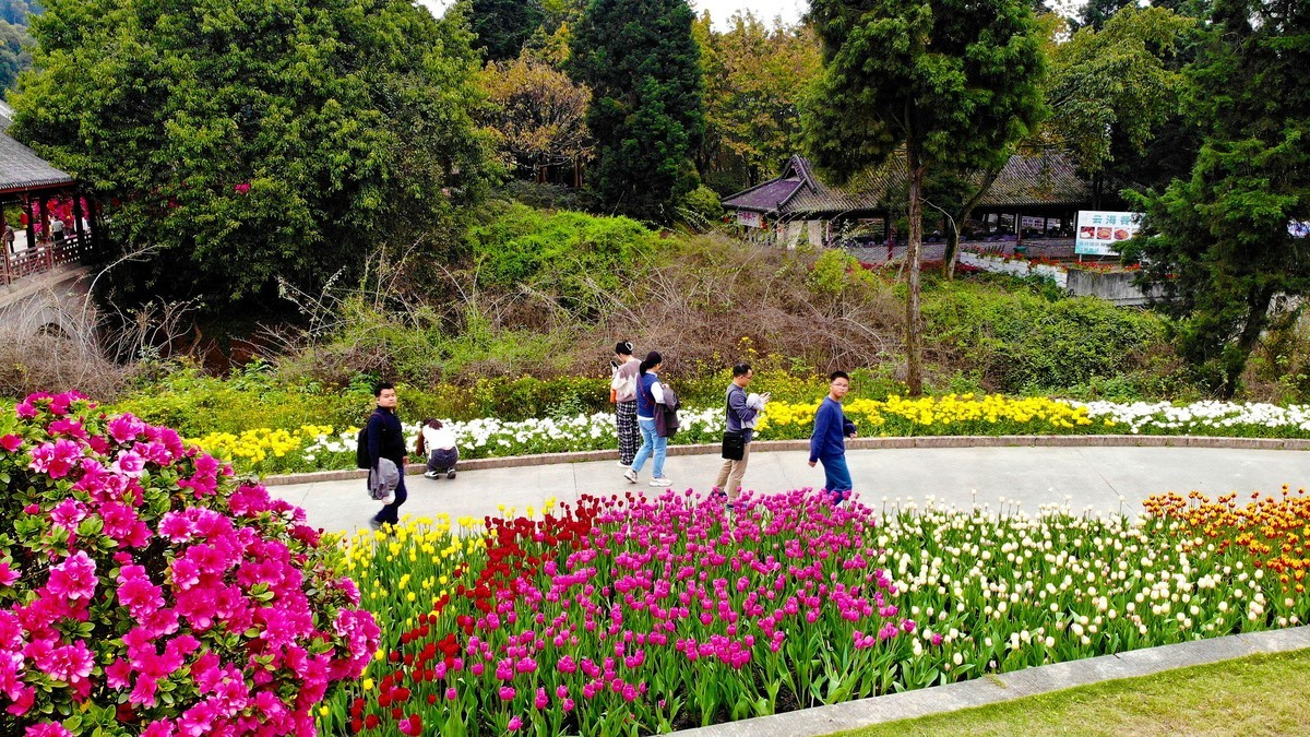 空中俯瞰”花舞人间“