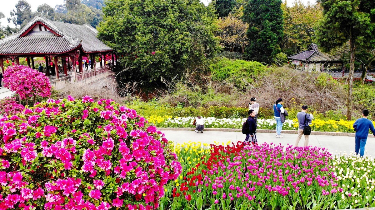 空中俯瞰”花舞人间“