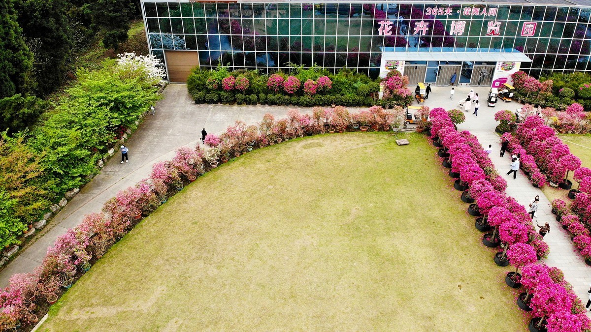 空中俯瞰”花舞人间“