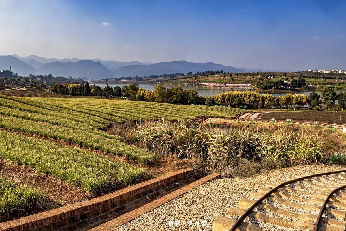 云南弥勒 · 东风韵