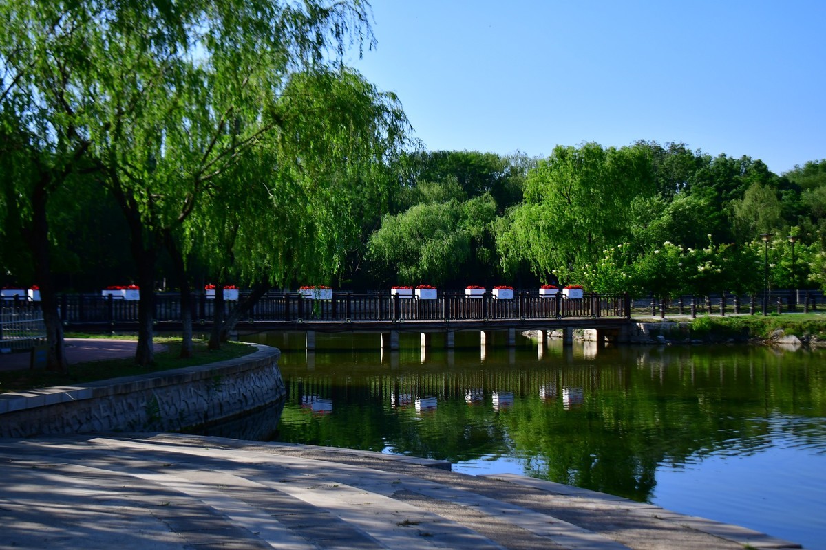 美丽的镜湖公园