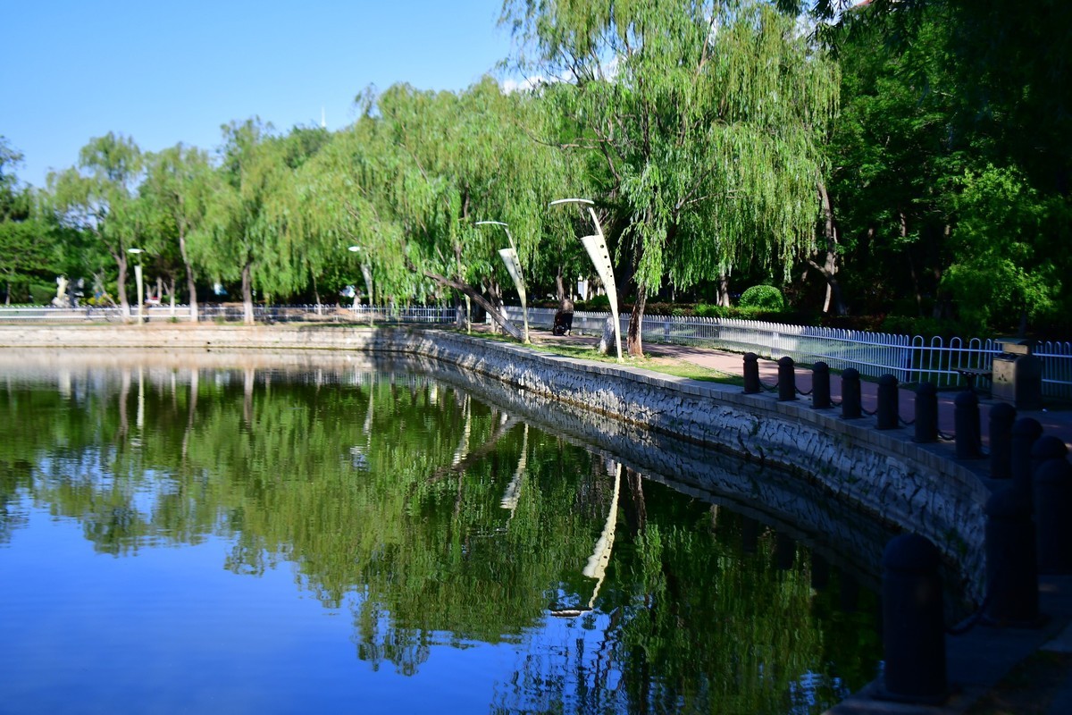 美丽的镜湖公园