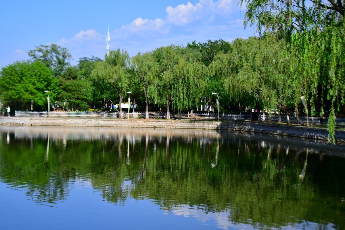 美丽的镜湖公园