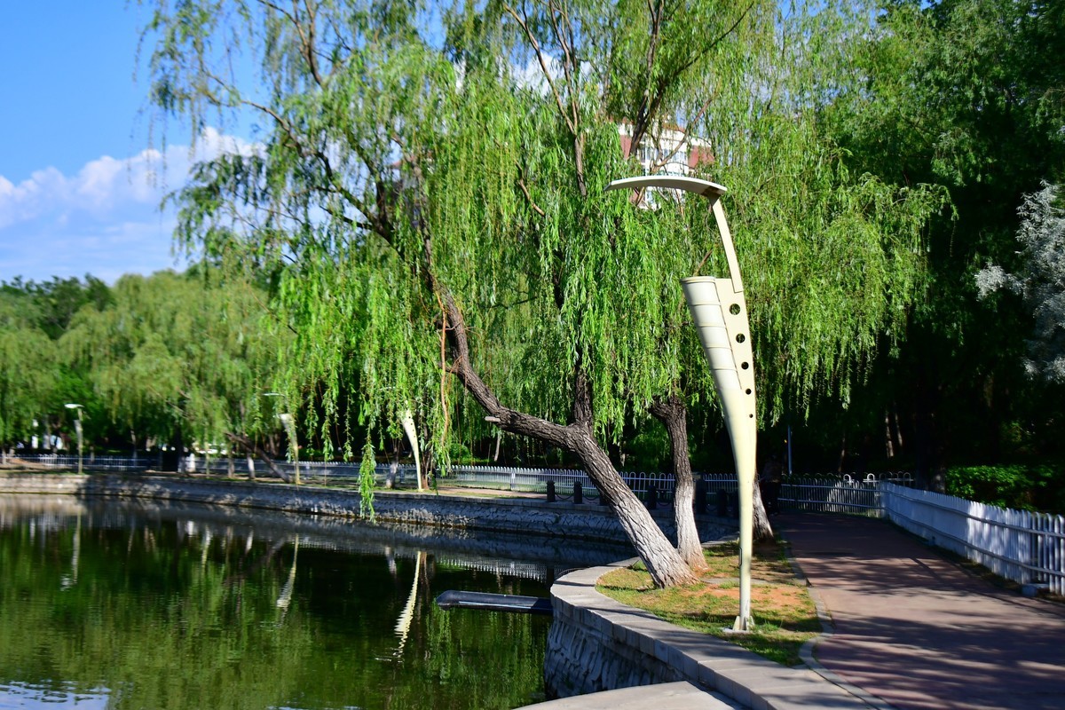 美丽的镜湖公园