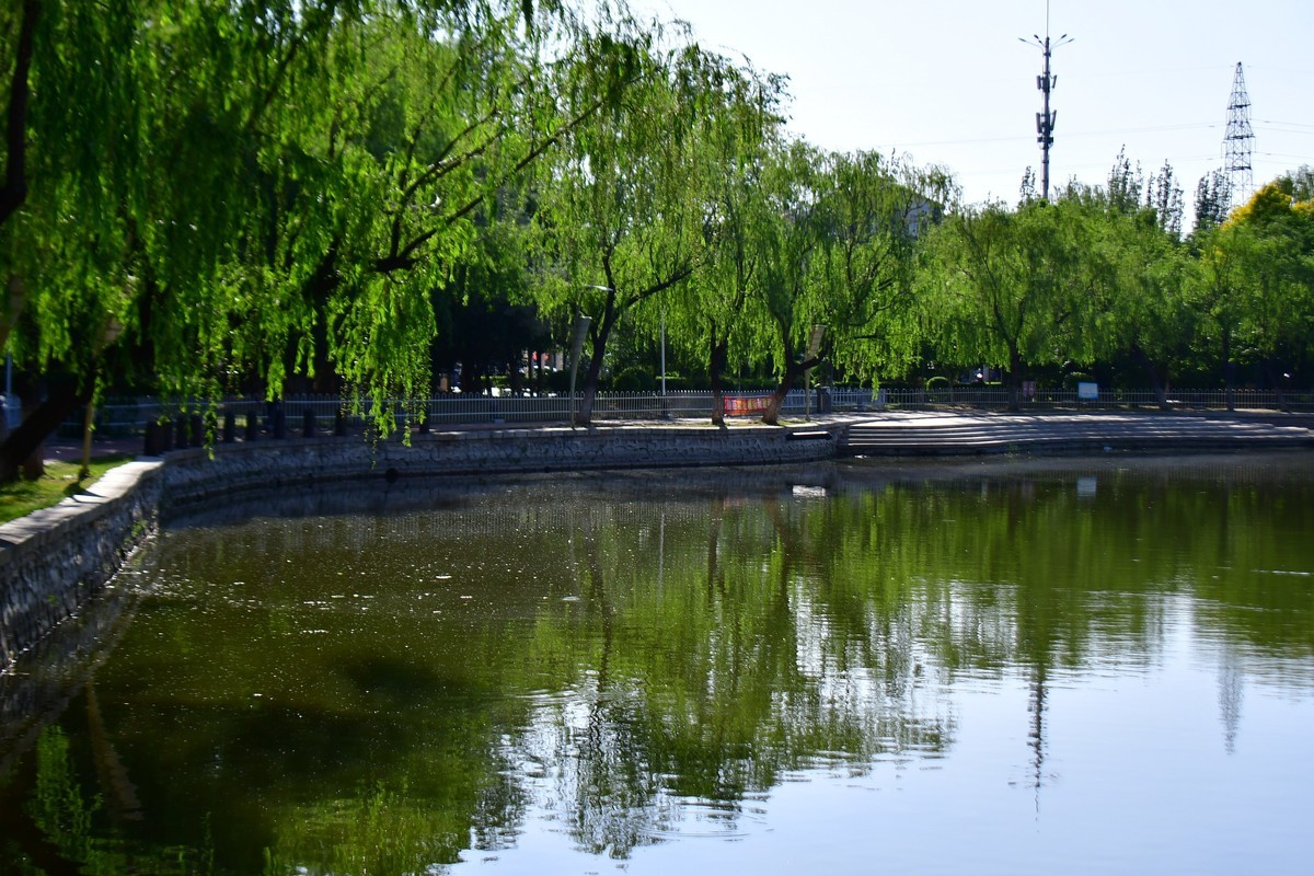 美丽的镜湖公园