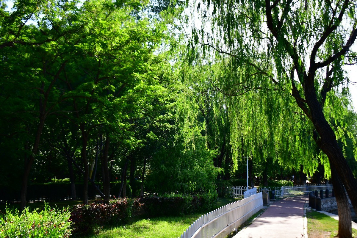 美丽的镜湖公园