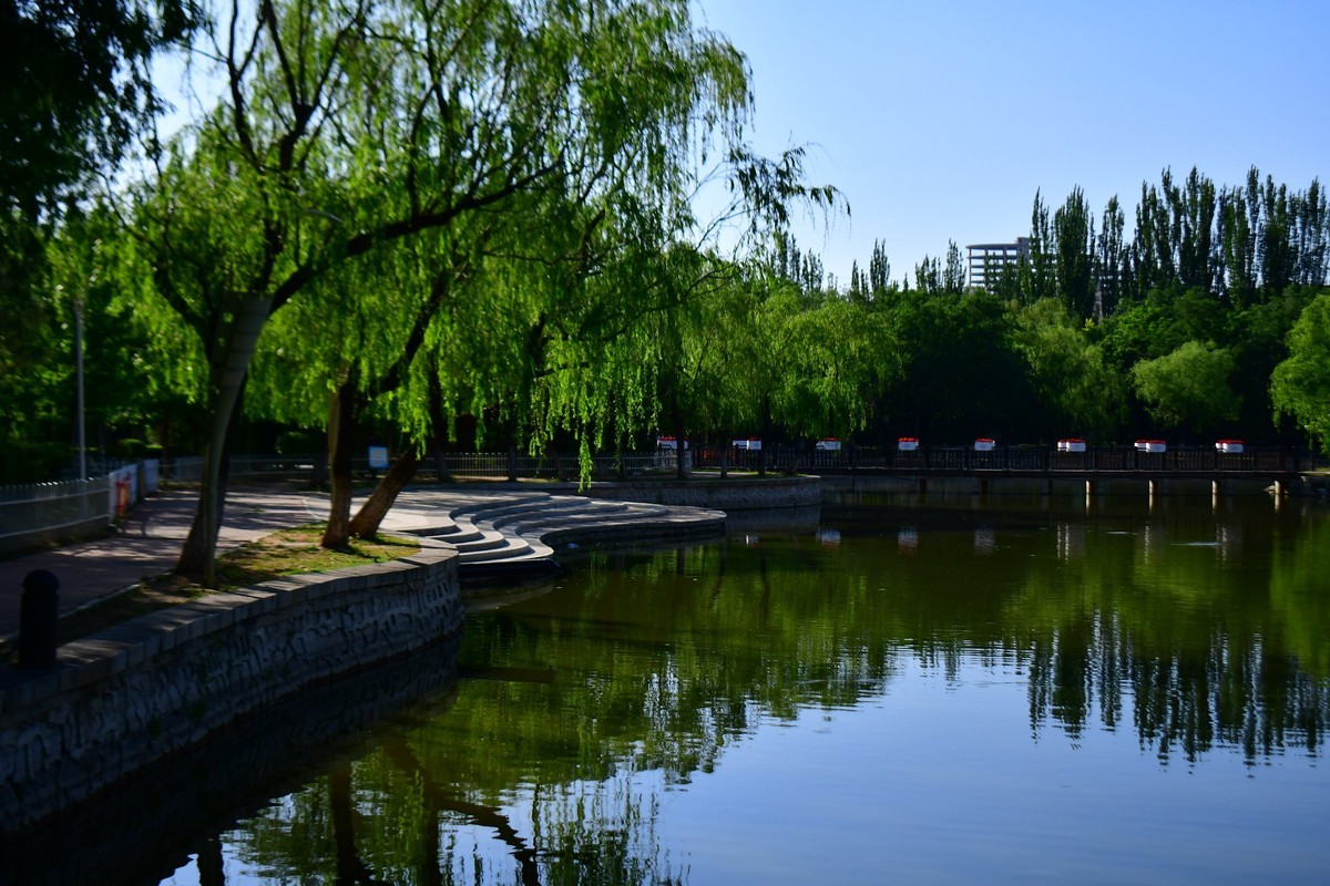 美丽的镜湖公园