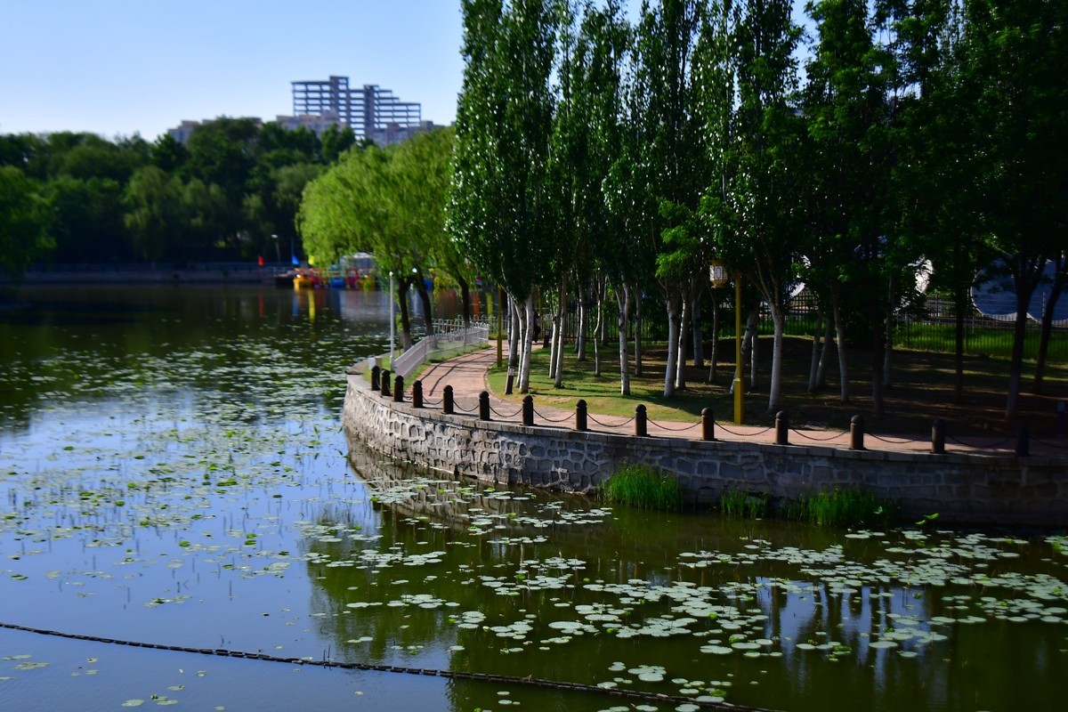 美丽的镜湖公园