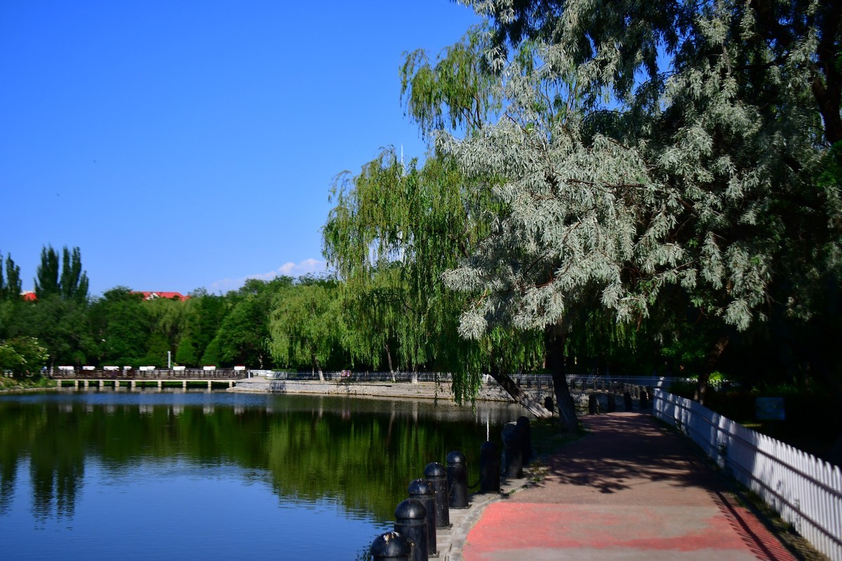 美丽的镜湖公园