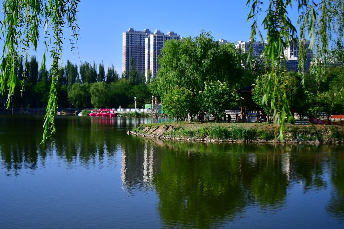 美丽的镜湖公园