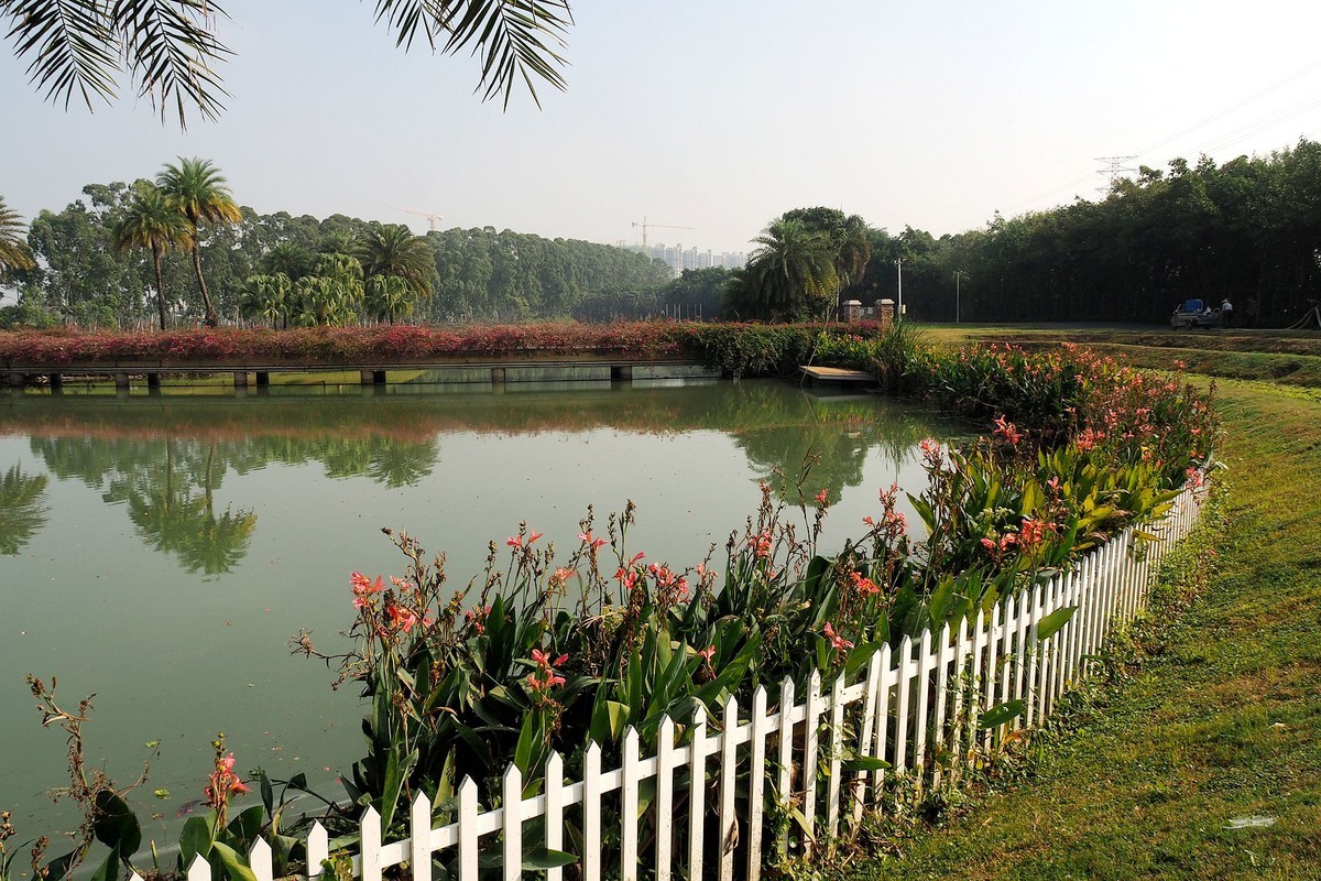 中山——三角镇：迪茵湖花园度假村（3）