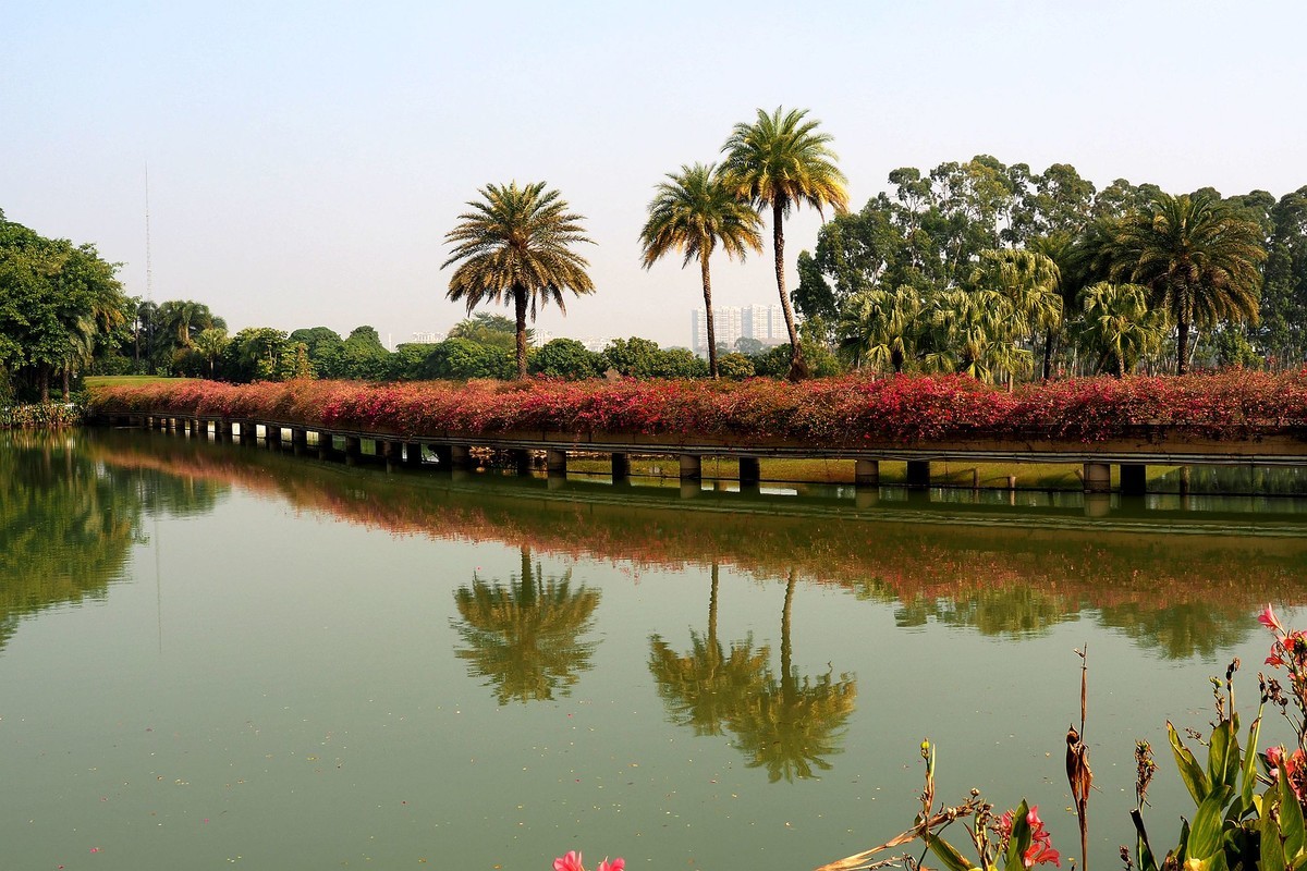中山——三角镇：迪茵湖花园度假村（3）