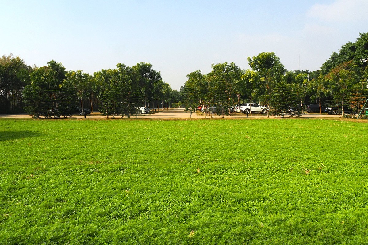 中山——三角镇：迪茵湖花园度假村（3）