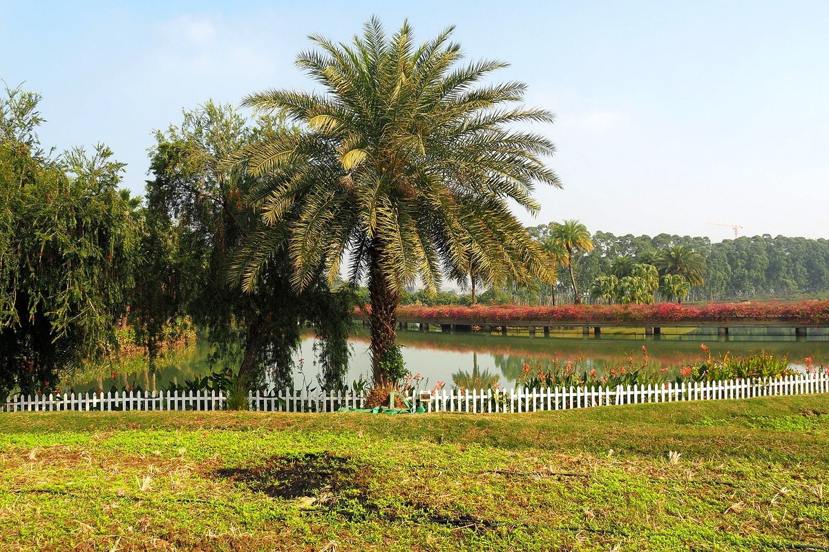 中山——三角镇：迪茵湖花园度假村（3）