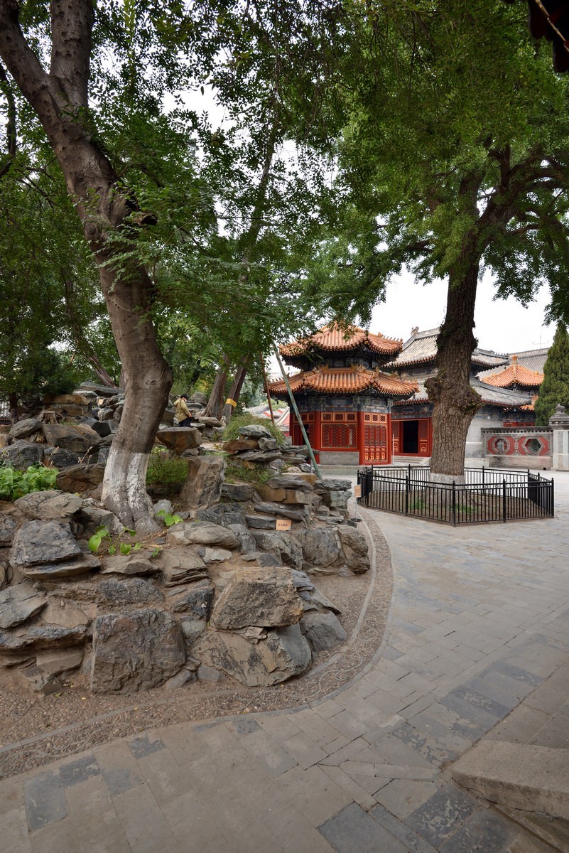 万寿寺    北京艺术博物馆  6/6