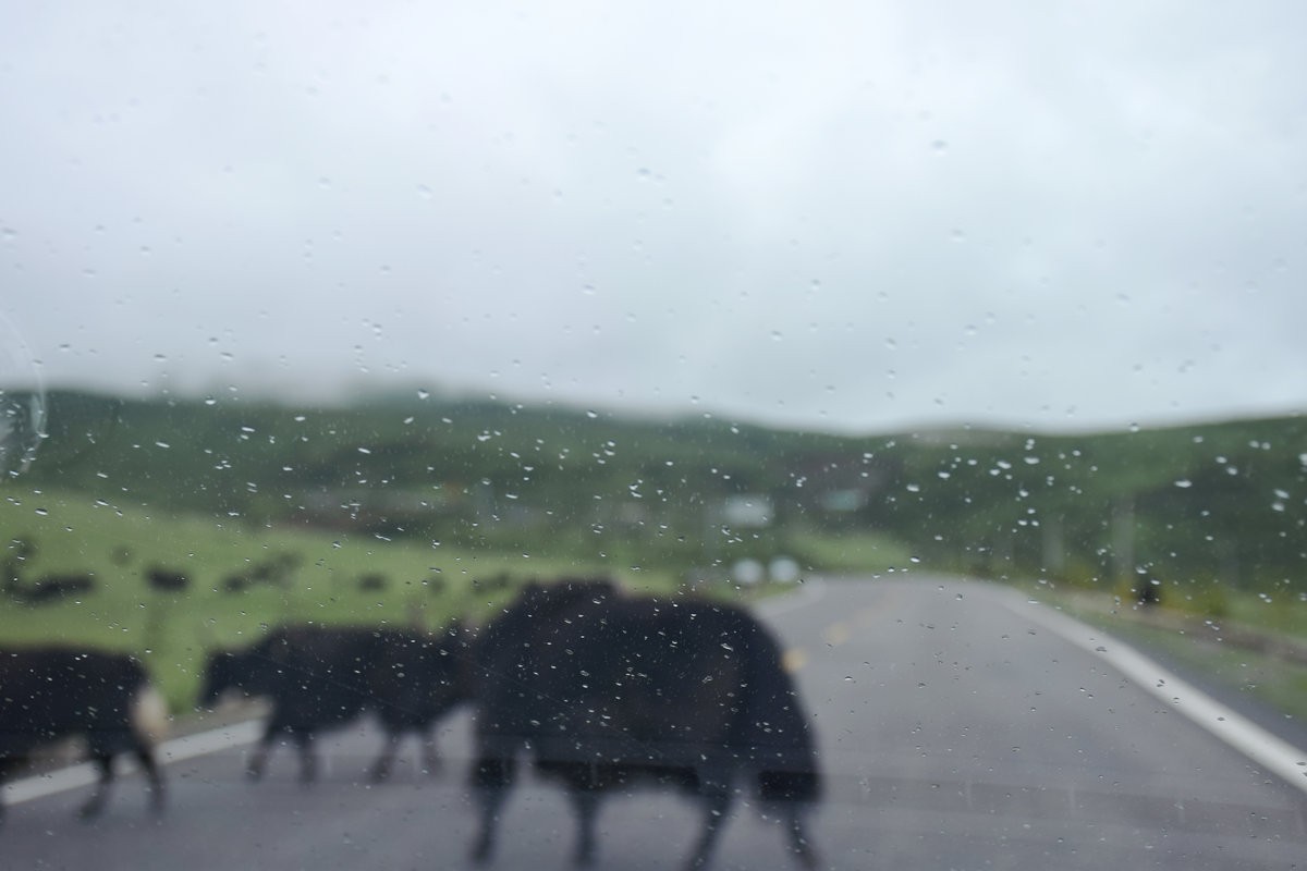 2023夏 黔赣鄂渝川（104）甘孜县