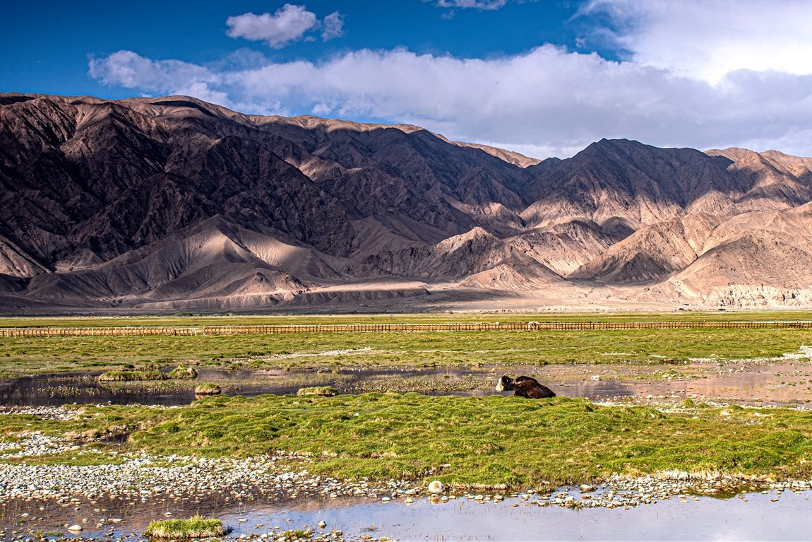 帕米尔高原【15】--金草滩湿地--祝老朋友们国庆节快乐