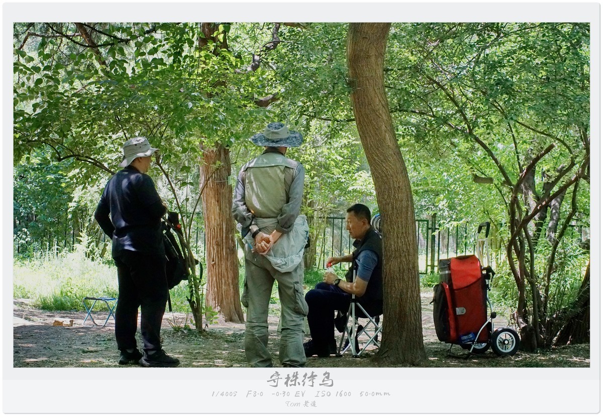 吃喝玩乐那点儿事