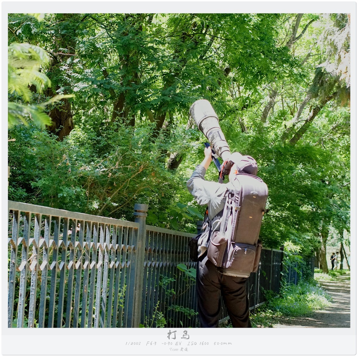 吃喝玩乐那点儿事