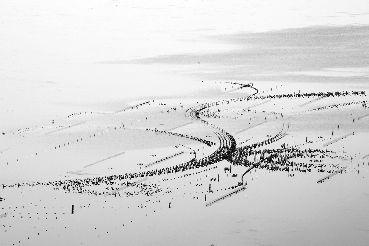 游园小照。。。