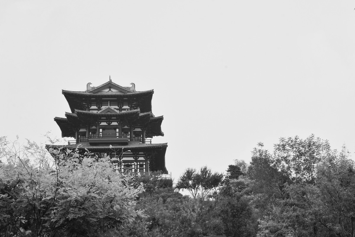 游园小照。。。