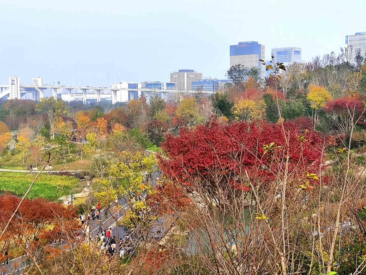 上海世博文化公园