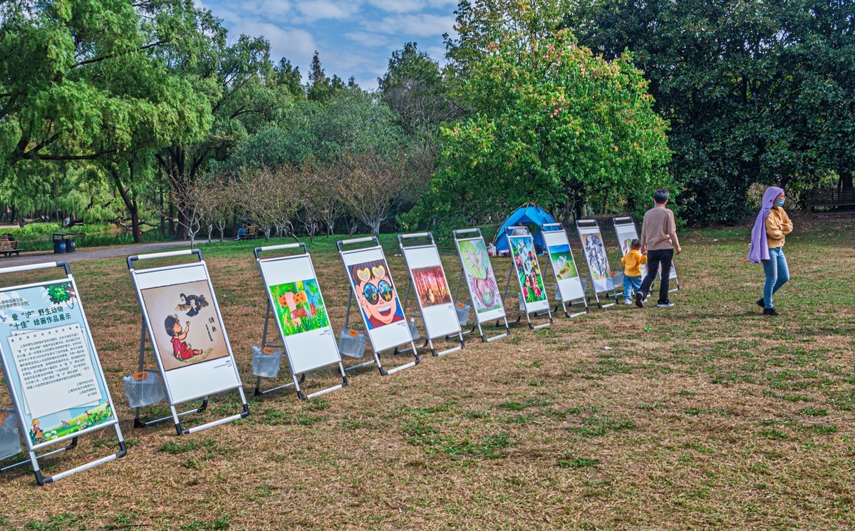 共青城森林公园