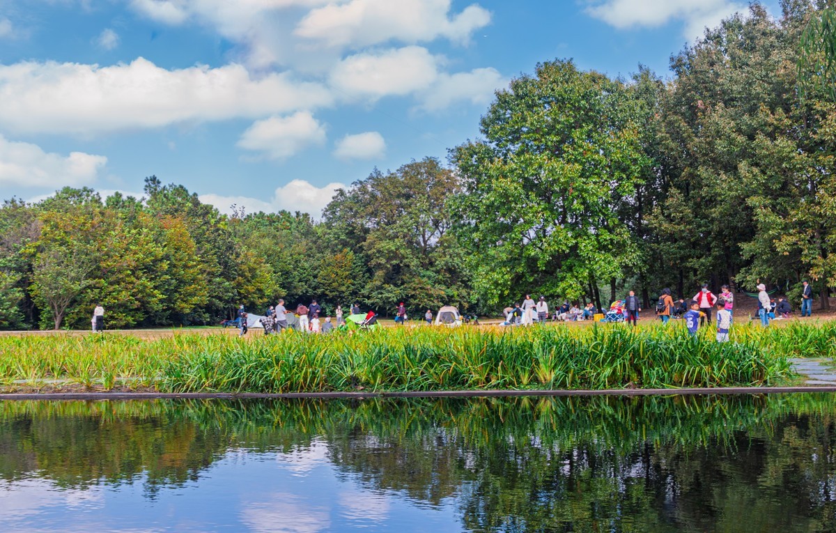 共青城森林公园