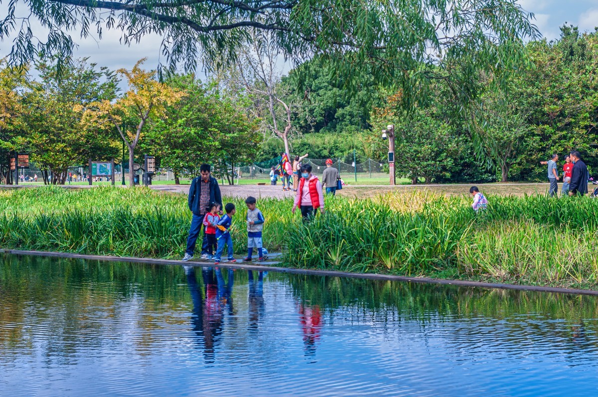 共青城森林公园